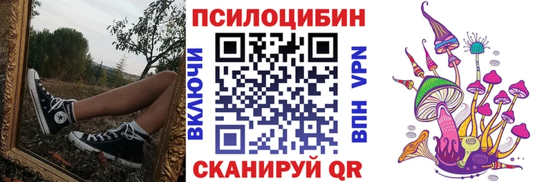 цена   Пермь  Псилоцибиновые грибы Cubensis 